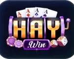 haywin